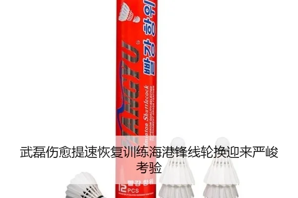 武磊伤愈提速恢复训练海港锋线轮换迎来严峻考验
